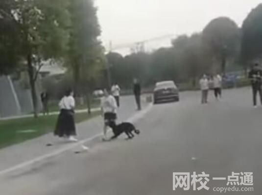 3歲男童路遇烈犬掙脫狗繩撕咬 究竟是怎么回事？