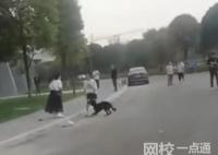 3歲男童路遇烈犬掙脫狗繩撕咬 內(nèi)幕曝光簡(jiǎn)直太意外了