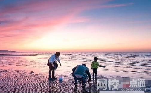 煙臺海腸爆發(fā) 有人一晚撈上千斤 周圍甚至還堵起了車