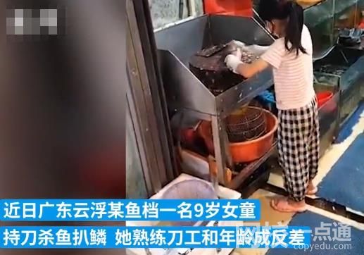 9歲女童檔口持刀殺魚扒鱗 熟練的刀工和年齡成反差