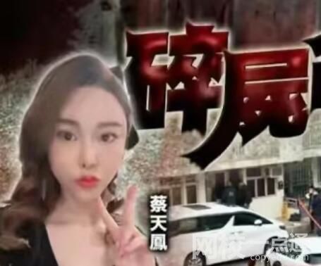 名媛蔡天鳳前夫潛逃時(shí)被抓 原因竟是這樣太悲劇