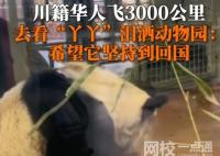 川籍華人飛3000公里看丫丫哭了 內(nèi)幕曝光簡(jiǎn)直太意外了