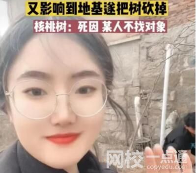 女子算命核桃樹擋姻緣家人將樹砍掉 究竟是怎么回事？