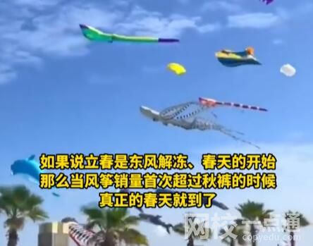 海洋風(fēng)箏爆火 網(wǎng)友:春天的信號(hào) 原因簡直驚呆了