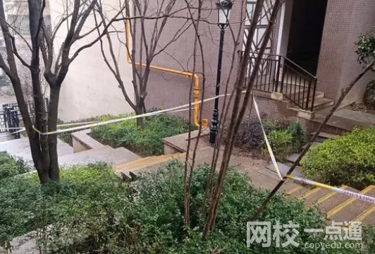 男童高空拋物砸死人 死者家屬起訴內(nèi)幕簡(jiǎn)直太悲劇