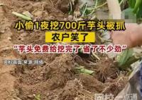 小偷1夜挖700斤芋頭被抓 農戶笑了 原因竟是這樣令人興奮不已