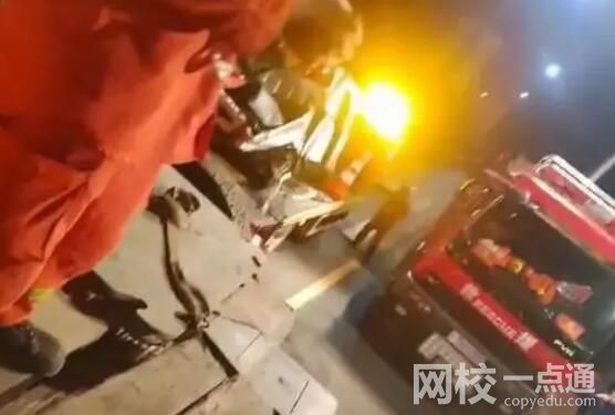 重慶一老年代步車墜河 4人身亡 原因竟是這樣太崩潰了