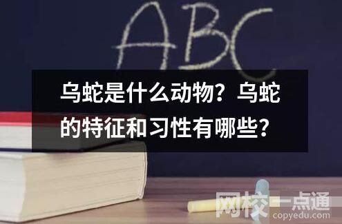 烏蛇是什么動物？烏蛇的特征和習(xí)性有哪些？