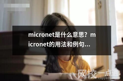 micronet是什么意思？micronet的用法和例句。