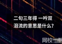 二句三年得 一吟雙淚流的意思是什么？