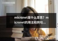 micronet是什么意思？micronet的用法和例句。