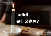 ludidi是什么意思？