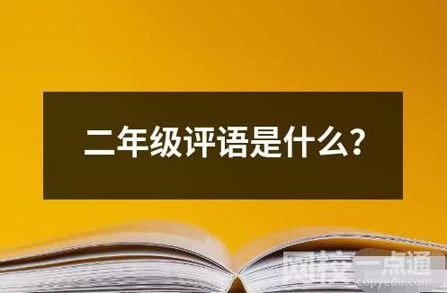 二年級評語是什么？