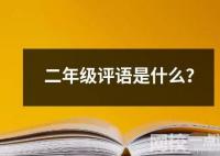 二年級評語是什么？