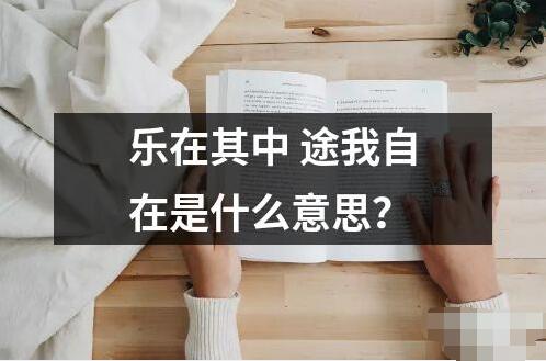 樂在其中 途我自在是什么意思？