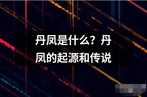 丹鳳是什么？丹鳳的起源和傳說