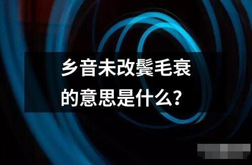 鄉(xiāng)音未改鬢毛衰的意思是什么？