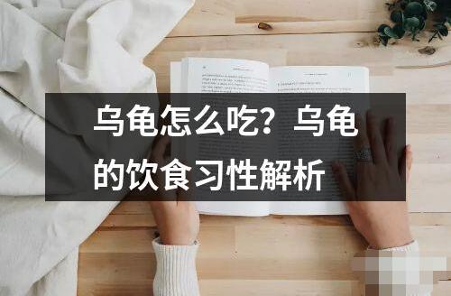 烏龜怎么吃？烏龜?shù)娘嬍沉?xí)性解析