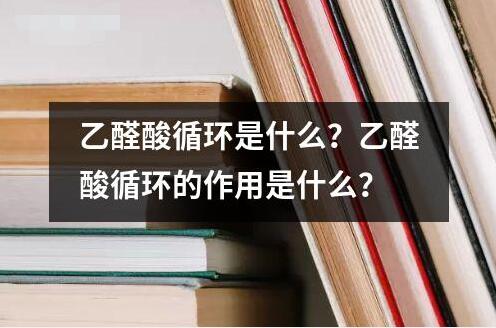 乙醛酸循環(huán)是什么？乙醛酸循環(huán)的作用是什么？