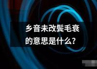 鄉(xiāng)音未改鬢毛衰的意思是什么？