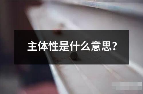 主體性是什么意思？