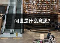 問(wèn)世是什么意思？