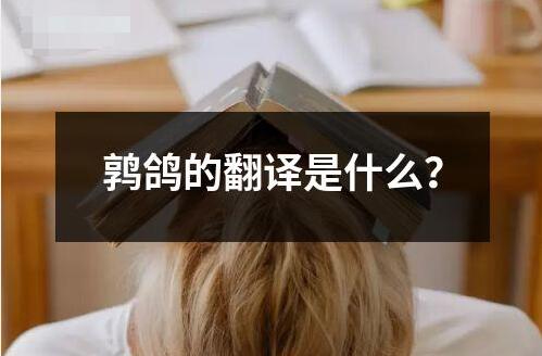 鶉鴿的翻譯是什么？