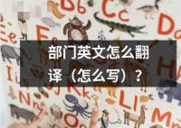 部門英文怎么翻譯（怎么寫）？