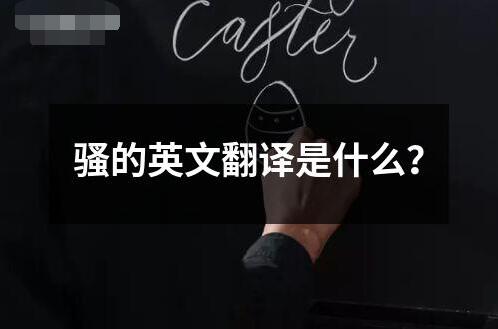 騷的英文翻譯是什么？