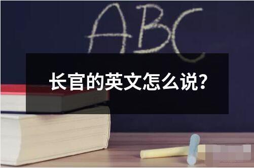 長官的英文怎么說？