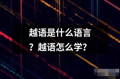 越語(yǔ)是什么語(yǔ)言？越語(yǔ)怎么學(xué)？