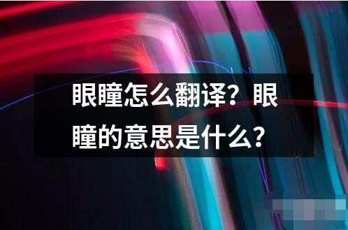 眼瞳怎么翻譯？眼瞳的意思是什么？