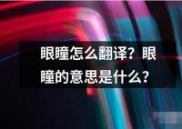 眼瞳怎么翻譯？眼瞳的意思是什么？