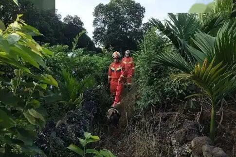 兩歲女童失蹤7小時 在深山中找到 實在太驚險了