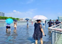 廈門沿海出現(xiàn)天文大潮 實在太罕見了
