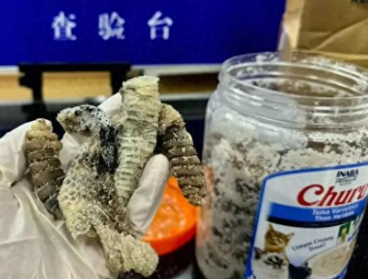 海關(guān)查獲1.2公斤生腌響尾蛇 到底是什么樣的？