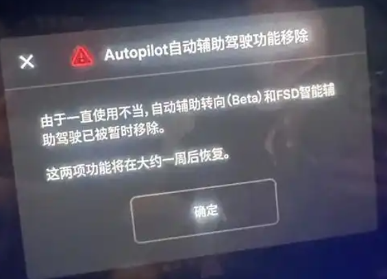 FSD落地中國當晚就有車主被禁用 為什么被禁用？