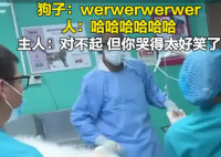 主人帶狗狗做絕育哭聲太慘引圍觀 究竟是怎么回事？
