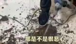 女子吐槽樓上鄰居馬桶正對(duì)自家廚房 實(shí)在太讓人惡心了