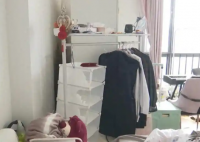 夫妻租房5年妻子多項(xiàng)指標(biāo)異常 究竟是怎么回事？