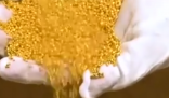 金價狂飆帶火土法煉金 為什么價格上漲這么厲害？