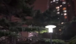 北京極端大風(fēng):樹被吹倒 高樓輕晃 實在太恐怖了