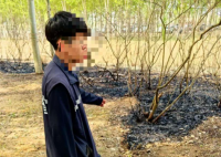 男子點燃楊柳絮引發(fā)火情被行拘 事件始末2025最新消息