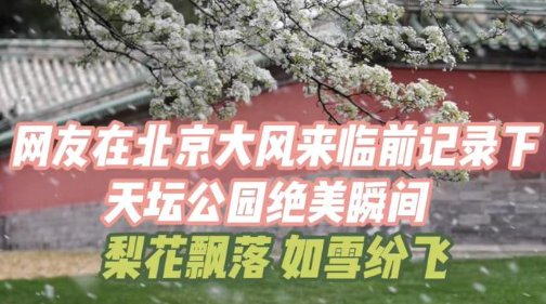 網(wǎng)友展示大風(fēng)前天壇公園的絕美瞬間 到底是什么樣的？