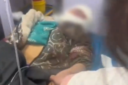 被3只大型犬撕咬男孩母親發(fā)聲 實在太悲劇了