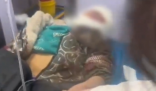 被3只大型犬撕咬男孩母親發(fā)聲 實在太悲劇了