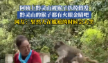 大媽逗黔靈山猴子玩被抓掉假發(fā) 實在太搞笑了