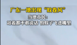 廣東一地蚊子聚集飛舞似龍卷風(fēng) 實在太罕見了