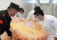 女子重度抑郁治愈送999朵玫瑰謝醫(yī)生 實(shí)在太感人了