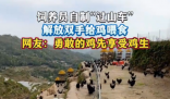 飼養(yǎng)員自制“過(guò)山車”給雞喂食 這也太霸氣了